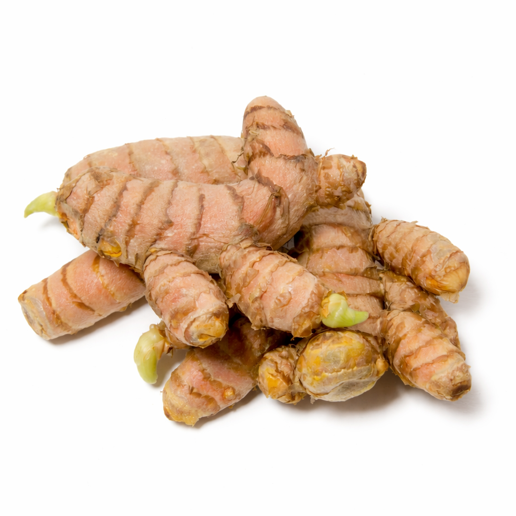 Curcuma